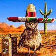 OWLsombrero