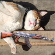 GATURRO ฅ^•ﻌ•^ฅ