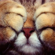 Packageee - steam id 76561197961155686