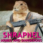 Shrapnel - steam id 76561197961203589