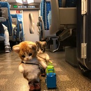 萌萌萌萌猫儿丶