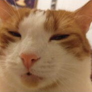 𝑴𝒂𝒓𝒊𝒖𝒌𝒖𝒍