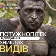 Дрон из фуры