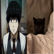 saianweak - steam id 76561199690299121