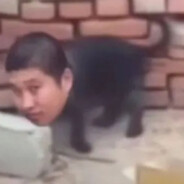 本·杰哥牛逼闪闪