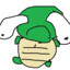 turtlemaster12