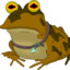 HYPNOFROG