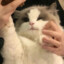 陈于晏-