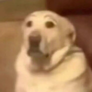 打了我队友就不能打我