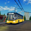 TrolleybusMarshalnik