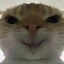 LS