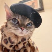 flash me pls - steam id 76561198032147687