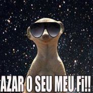 Suricate_Seboso