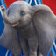 Dumbo