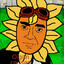 DESTELLO SOLAR LUJAN CARRION
