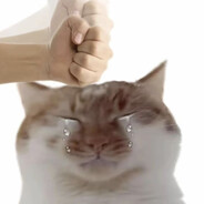 成熟稳重的毛豆a