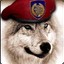 WhiteWolf