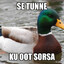 Vesilintu
