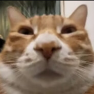 Meow Meowington