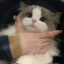 券券