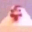 Pollo