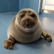 seal's avatar