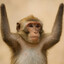 Handless Monkey