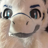 Pawjob 20$ <3