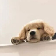 悲伤的修勾zhzh123丶