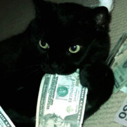 chico_cu