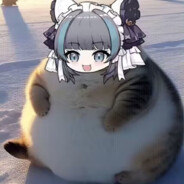 怪异克服柴郡猫