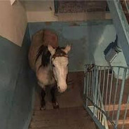 AURA чемпион - steam id 76561198934354343