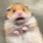 이지수