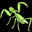 Insecto