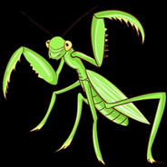 Insecto