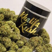 khali de wiz