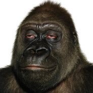 Long Dong Silver Kong™