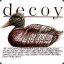 decoy