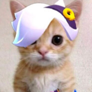 мурчу в дискордик