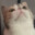 MEOWWWWWWWWWWW