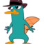 Perry platypus