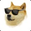 bonjourdoge