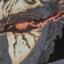 NoxTorment