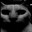 insay's Avatar