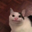 àrty