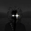 Farever_1