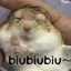 南雀quq