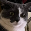 tomplayer_