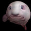 Blobfish
