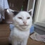 Avatar of player Ыыыыы